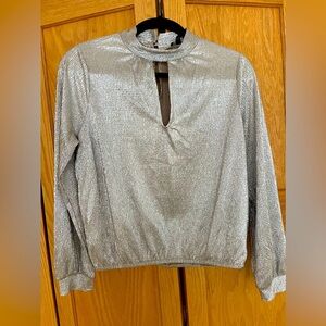 Metallic blouse